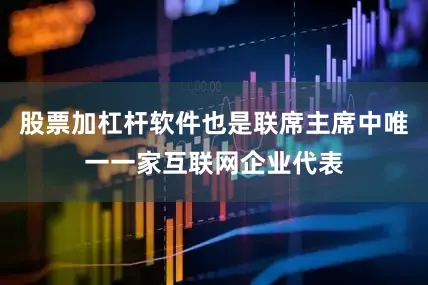 股票加杠杆软件也是联席主席中唯一一家互联网企业代表