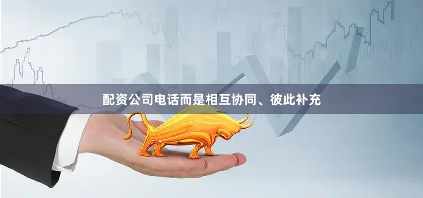 配资公司电话而是相互协同、彼此补充