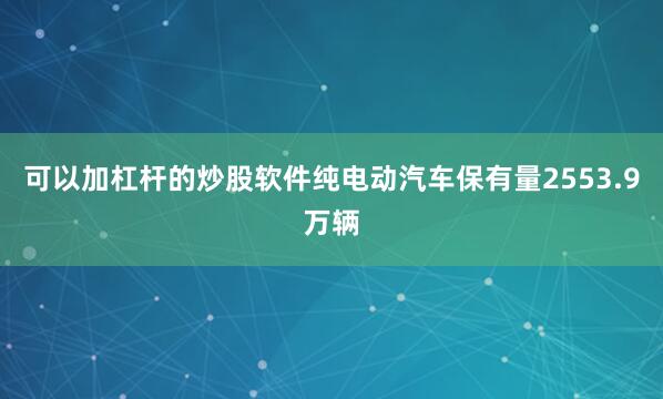 可以加杠杆的炒股软件纯电动汽车保有量2553.9万辆