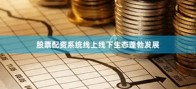 股票配资系统线上线下生态蓬勃发展