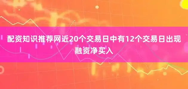 配资知识推荐网近20个交易日中有12个交易日出现融资净买入