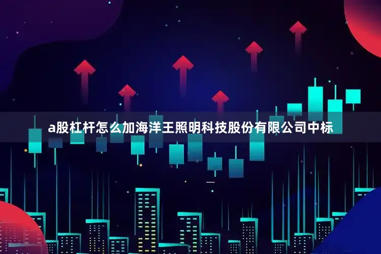 a股杠杆怎么加海洋王照明科技股份有限公司中标